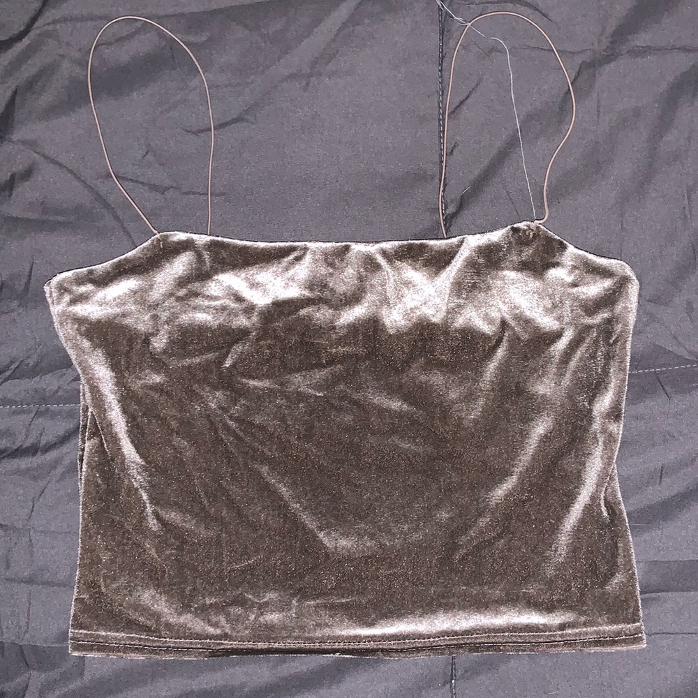 velvet gray crop